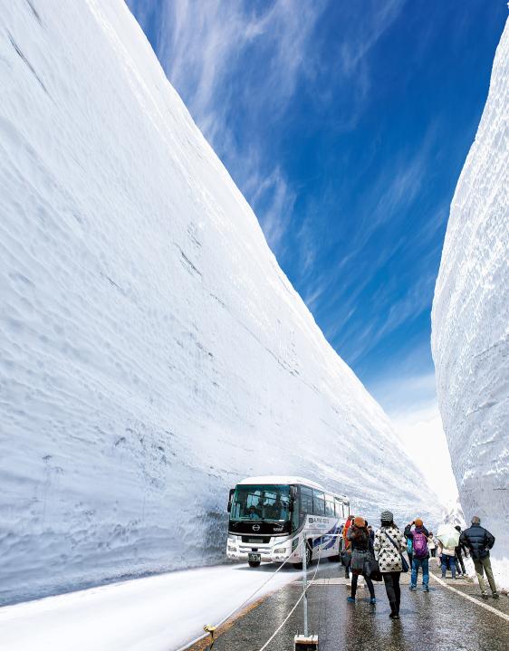 富山県の雪の大谷ウォーク